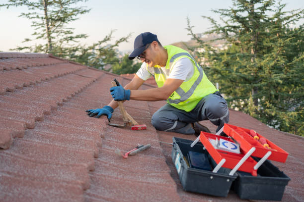 Best Roofing Contractor Near Me  in Minnehaha, WA