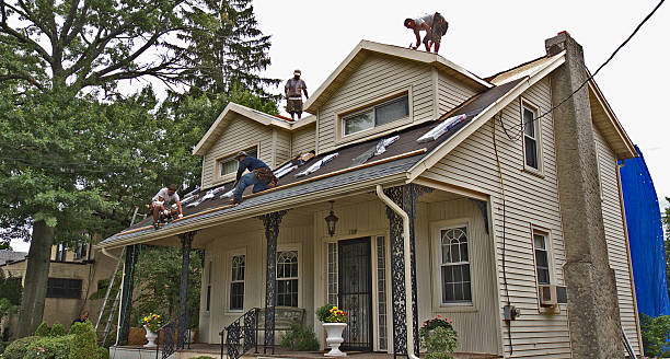 Best Roof Gutter Cleaning  in Minnehaha, WA