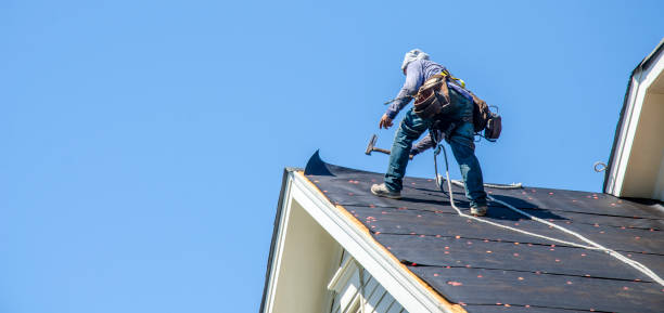 Best Sealant for Roof  in Minnehaha, WA